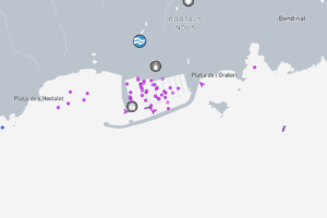 srf_maritime_marinetraffic_portals